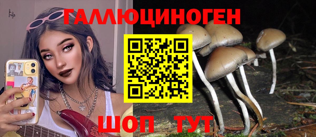 Красноярск  где можно купить   Вход с VPN  Галлюциногенные грибы GOLDEN TEACHER 